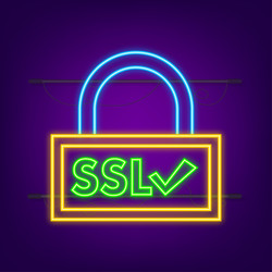 secure internet connection ssl neon icon safe vector image