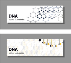 set of 9 templates for presentation slides vector image