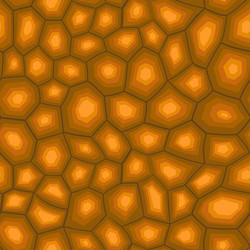 abstract modern turtle shell seamless pattern vector image