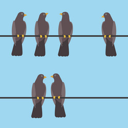 pigeons sitting on a wire vector