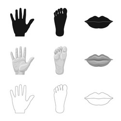 design of human and part icon set vector image