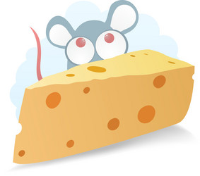 Piece of cheese vector