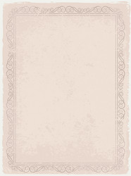 Rustic Paper Texture with Frame vector image