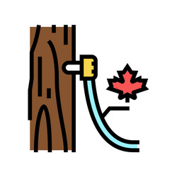 maple sap collection using tubing method color vector image
