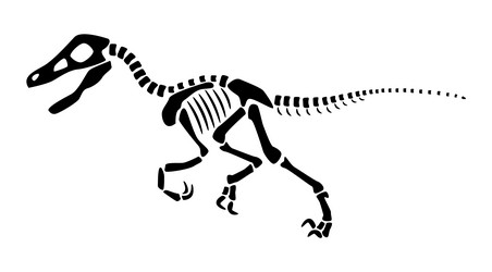 velociraptor skeleton silhouette dinosaurs side vector