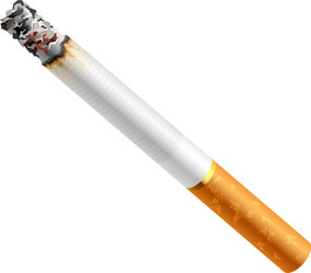 no smoking Vector Image