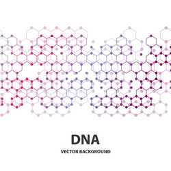 dna sequence shiny background science eps10 vector image