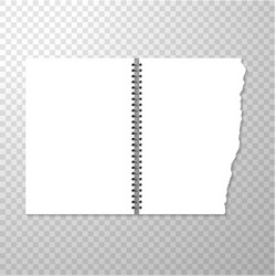 Torn Spiral Notebook Page Vector Image