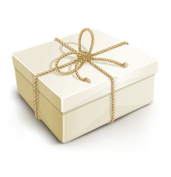 Gift Box with Ribbon Vector Image