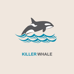 killer whale icon vector