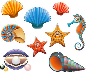 Realistic 3d sea shell starfish set Royalty Free Vector