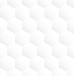 White Hexagon Pattern Background vector image