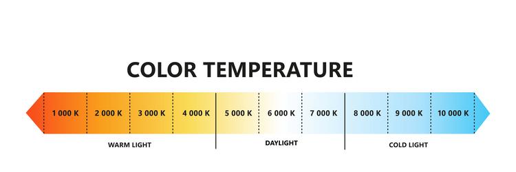 light color temperature scale kelvin vector image