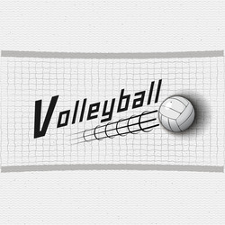 Volleyball Sports Labels & Badges Vector Image