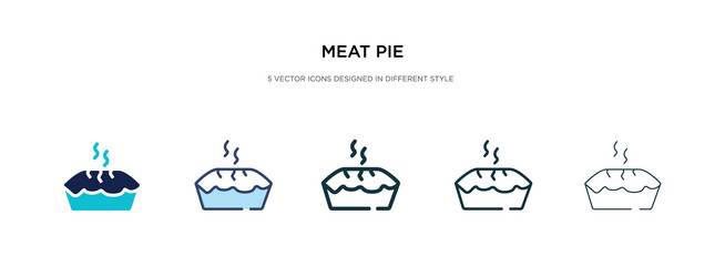 meat pie icon in different style two colored vector image
