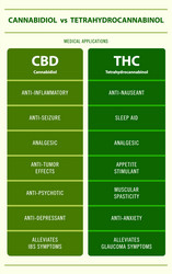 Cbd vs thc medical applications vertical vector