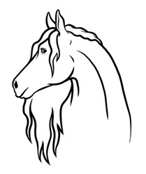 Doodle Horse Art Vector Image