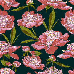 Peony Floral Background Vector Image