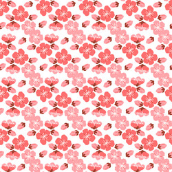 sakura pattern the patterned elements vector image