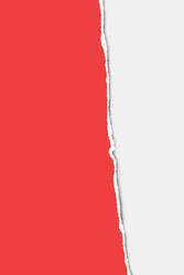 torn from top to bottom vertical sheet red a4 vector image