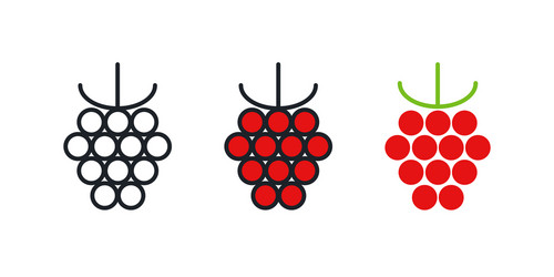 Raspberry icon linear color contour shape vector