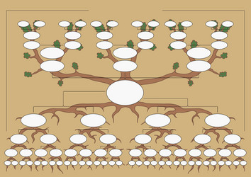 Genealogical tree vector