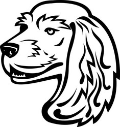English Cocker Spaniel Head - Black & White Vector Image