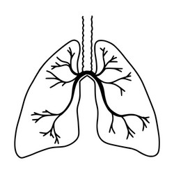 Hand drawn lungs doodle style internal organs vector