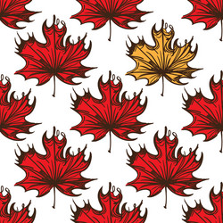 Seamless pattern with maple leaves of red color vector