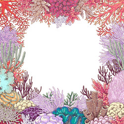 Vivid Coral Reef Frame Vector Image