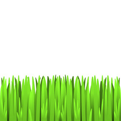 Green grass borders big collection Royalty Free Vector Image