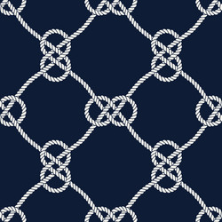 Nautical Rope Pattern - Endless Loop vector image
