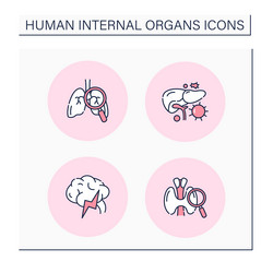 Human internal organs color icons set Royalty Free Vector