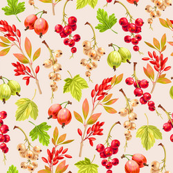 seamless pattern with varicolored currant vector image