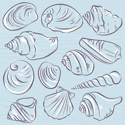 set of different types clams and shells vector image