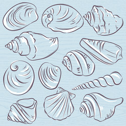 Set of different types clams and shells vector