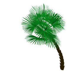 green palm tree at an angle isolated on white Vector Image