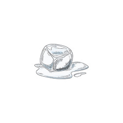 melting ice cube in liquid paddle sketch vector