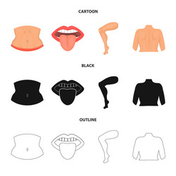 isolated object of body and part symbol set vector image