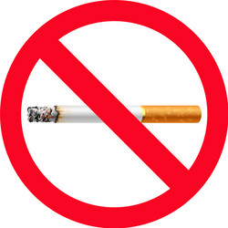no smoking sign Vector Image