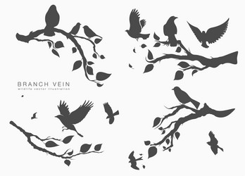 figure set flock birds on tree branch Vector Image