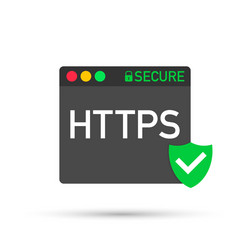 Secure HTTPS Connection vector image