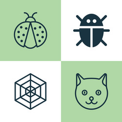 zoo icons set collection of beetle cobweb vector image