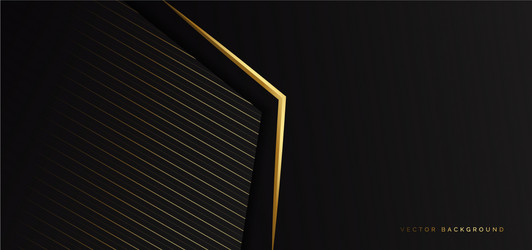 abstract template black triangle background vector image