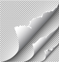 page curl with shadow on blank sheet paper vector image
