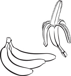 bananas vector