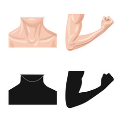 isolated object of human and part logo set vector image