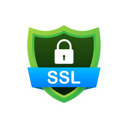 Secure SSL Connection Icon vector image