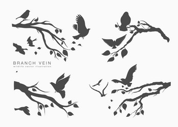 Flying Birds on Tree Branch Vector Image