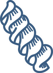 seashell mollusk sketch vector image